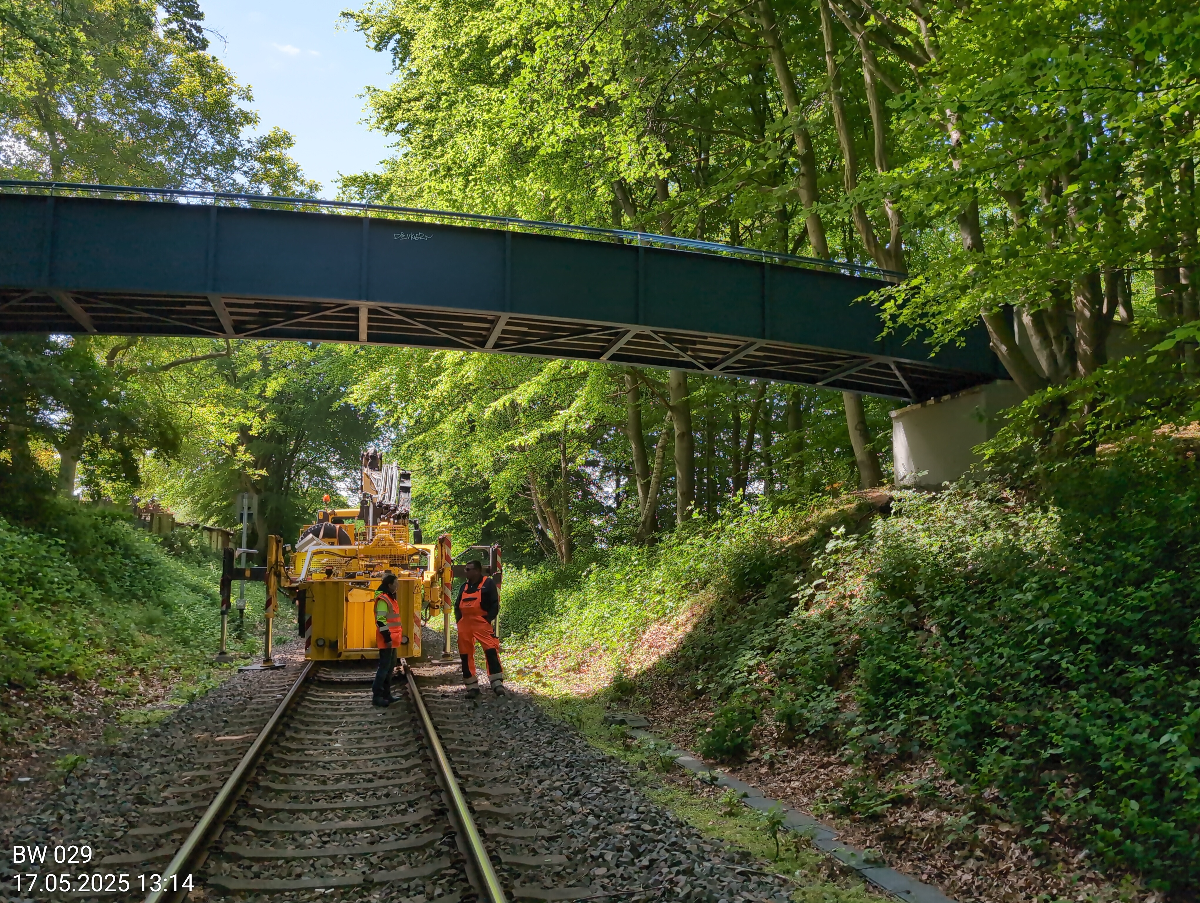 Bausachverständigenteam - Nord GmbH Co. KG, Dorothea-Erxleben-Str. 4 in Kiel
