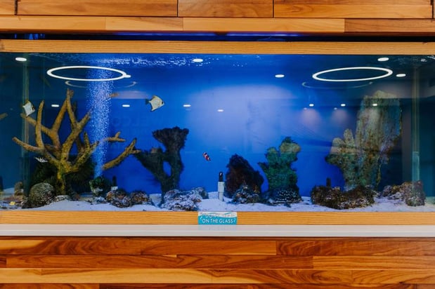 Images Hampton Inn Rehoboth Beach