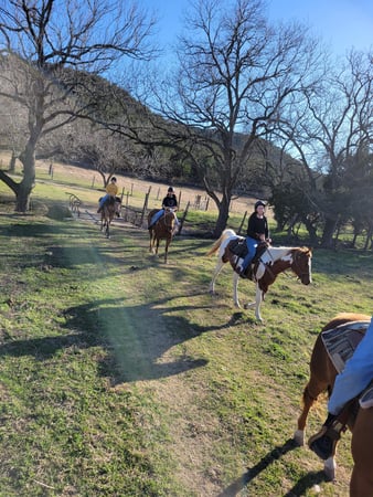 Images Horseback Adventures of Central Texas