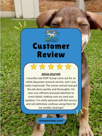 Images Oop Scoop Pet Waste Removal