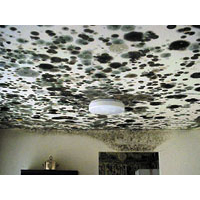 Advanced Building Assessment INC