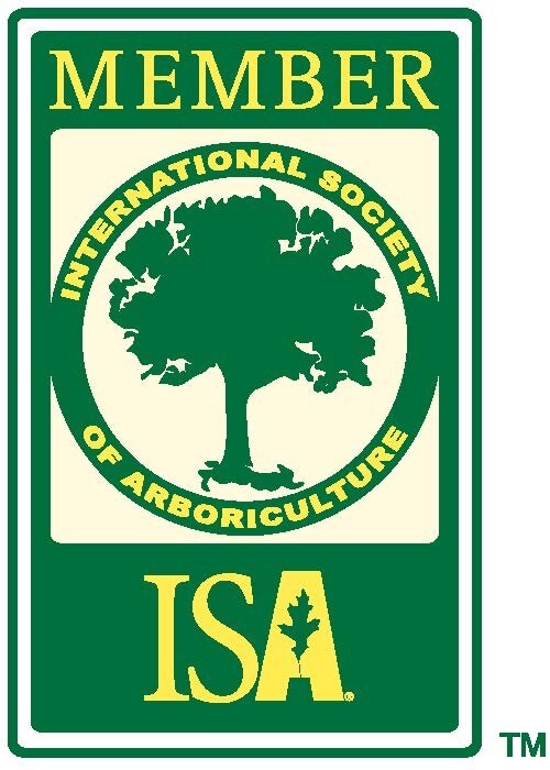 Images Green Control Landscape and Tree Service
