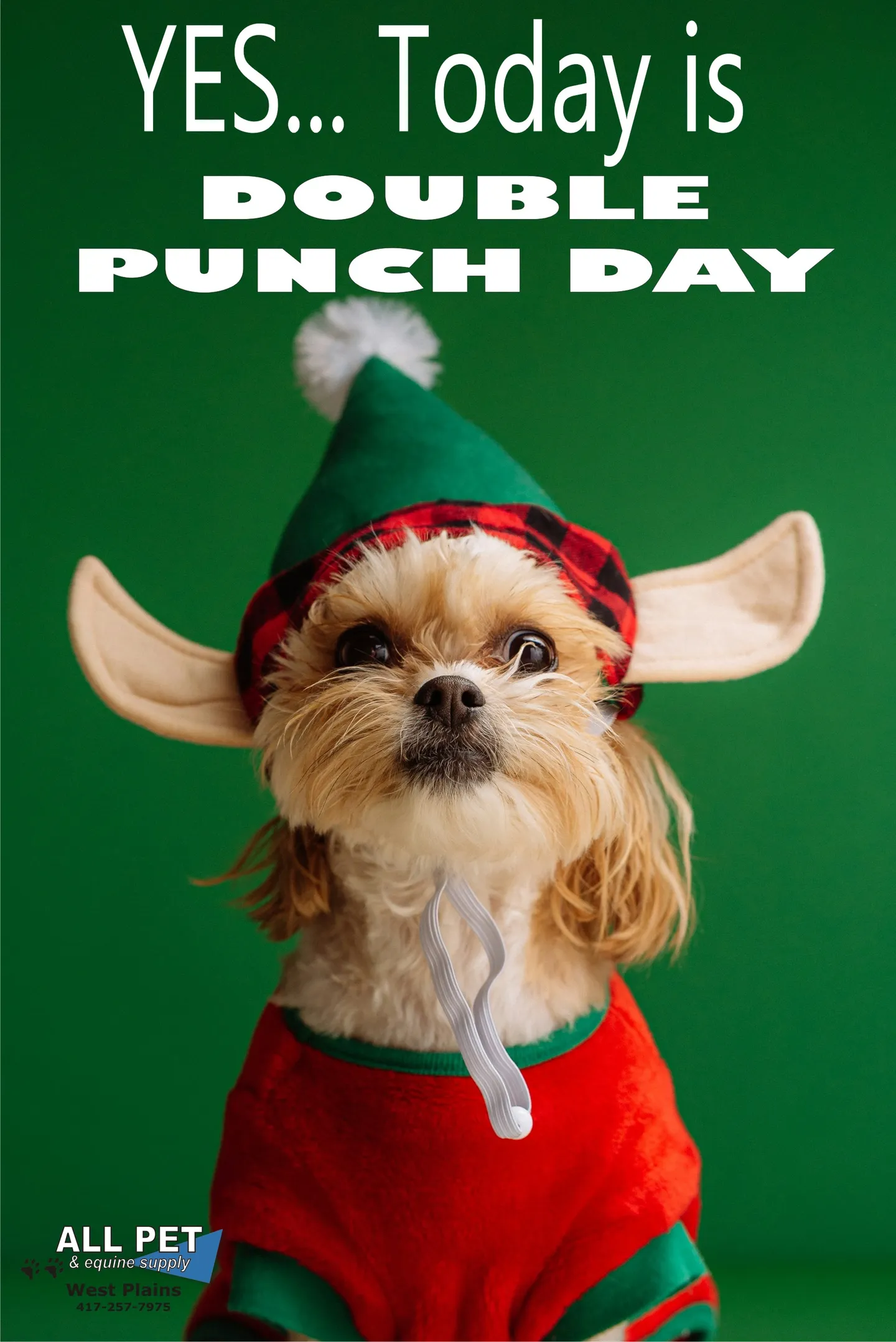 Image of Local Pet Event double punch day dec 2025 Nearby