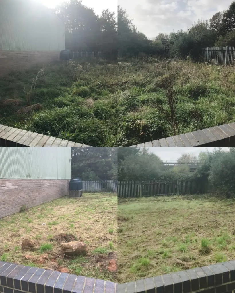 Images Wincanton Tree Care