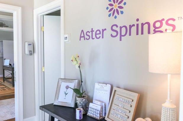Images Aster Springs - Nashville