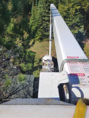 Images McMillan Tree Service