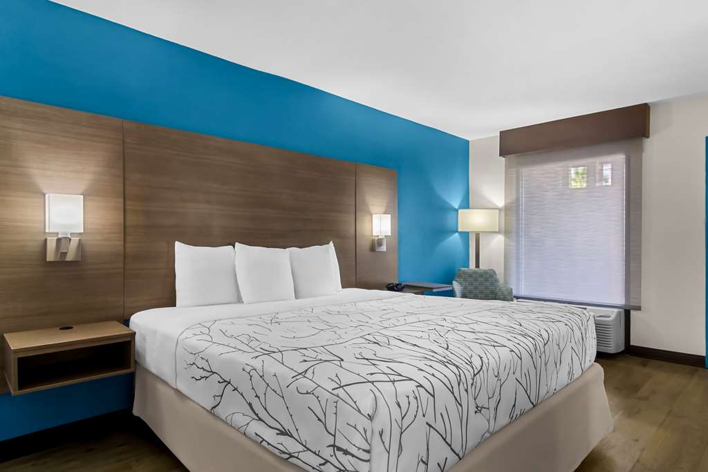 ACC King Guest Room
