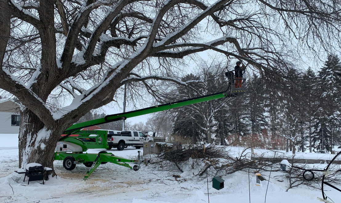 Jake's Tree Service Image