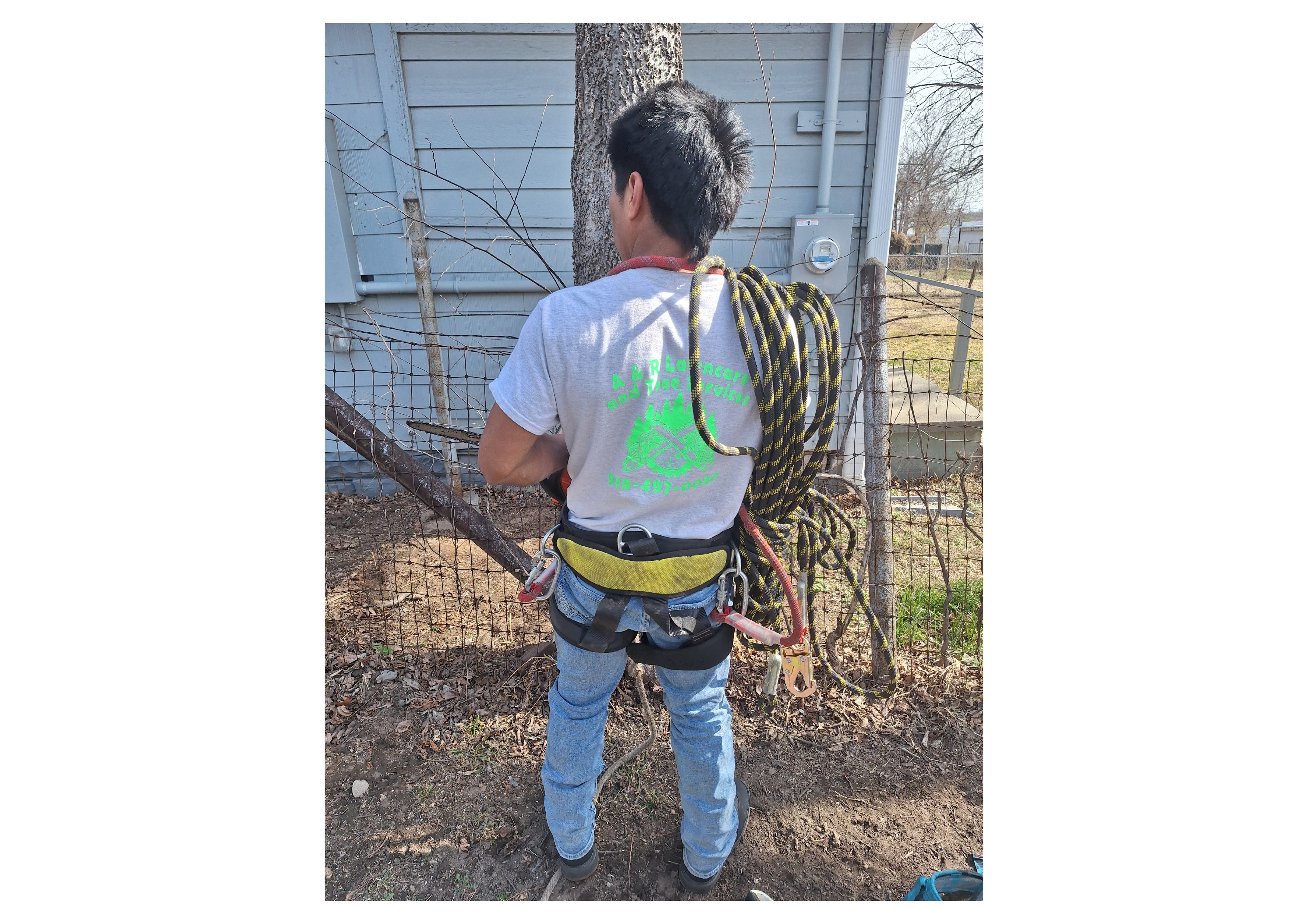 AR Lawn Care and Tree Service Image