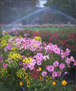 Images Northern Turf Management Inc