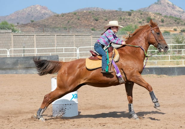 Images Equine Coach, LLC