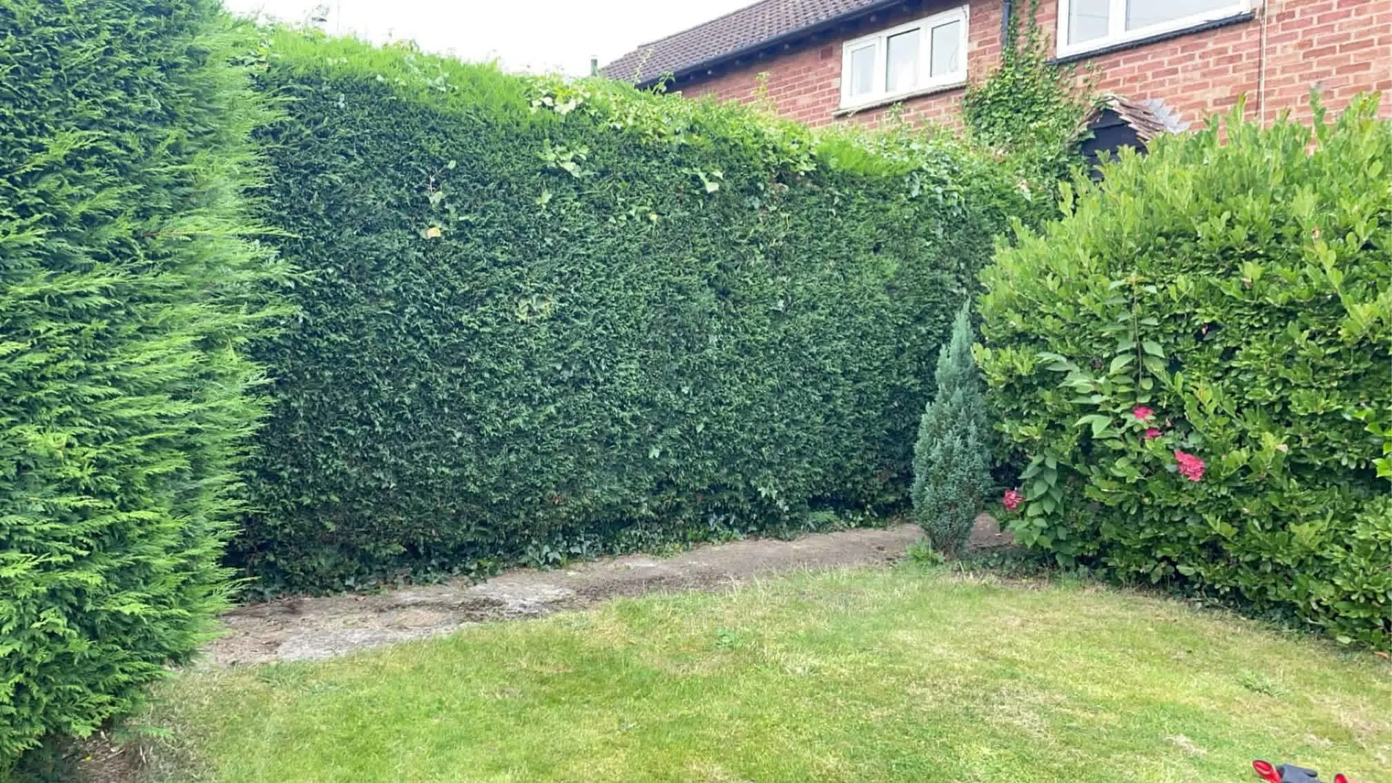 Images Oakwood Tree & Landscaping Services