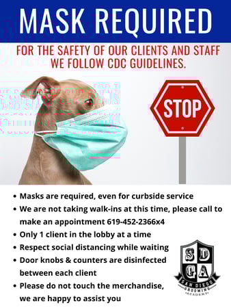Images San Diego Grooming Academy