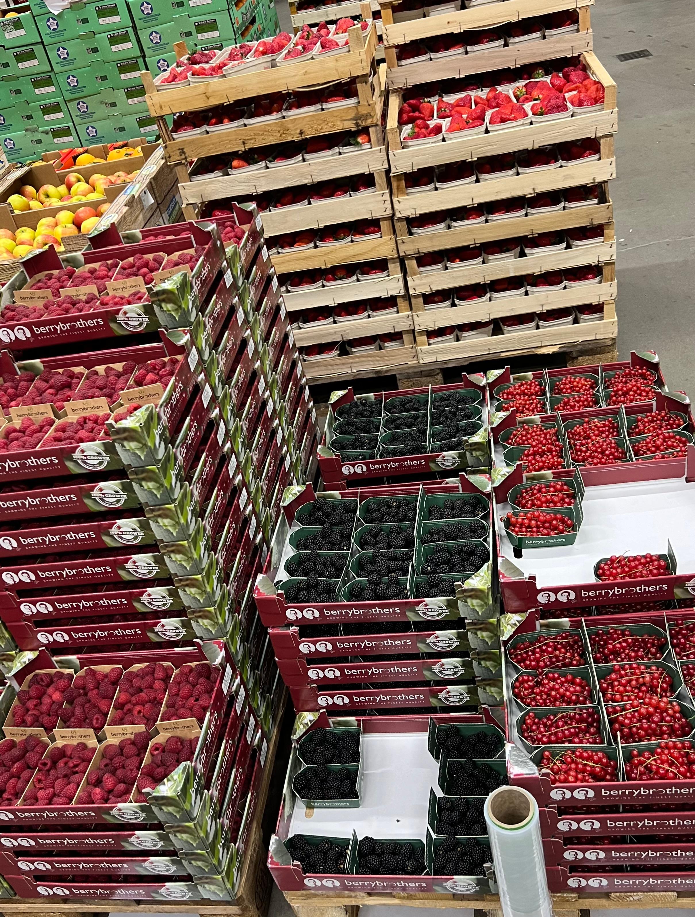 Better&Fresh Foodservice GmbH, Hertzstraße 4c in Rheinstetten