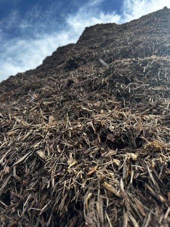 Images Tree Tech of Louisiana