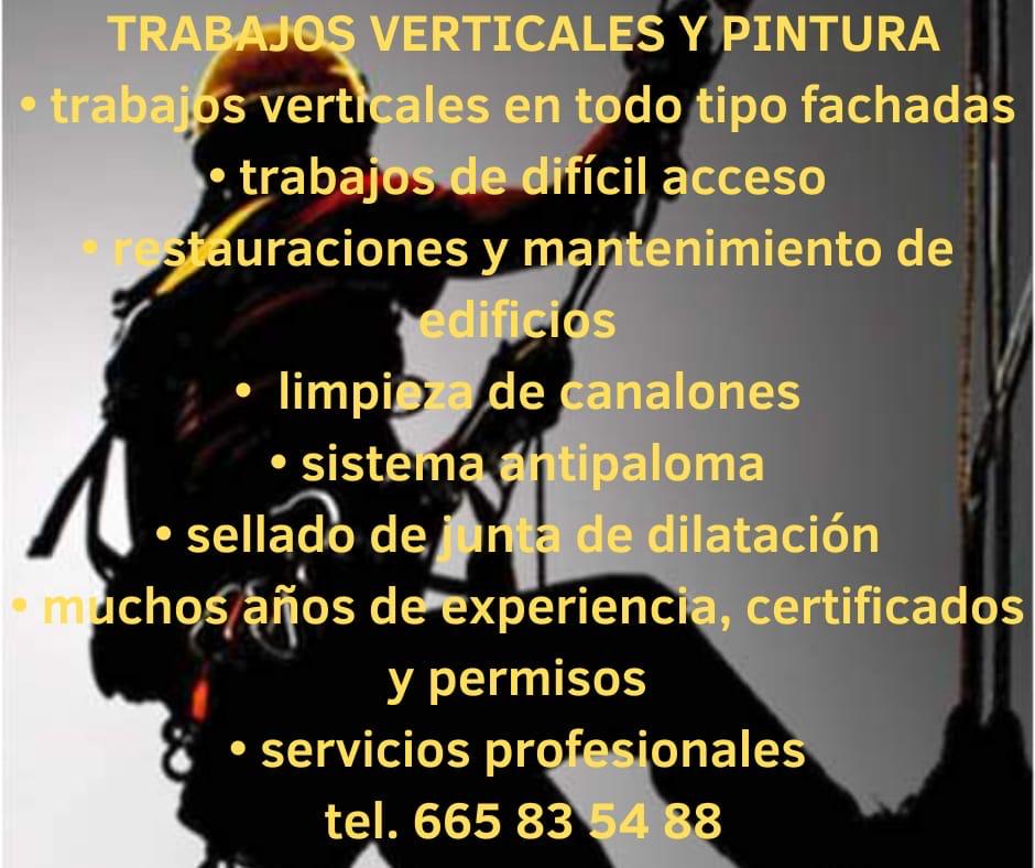 Images Aries Verticales