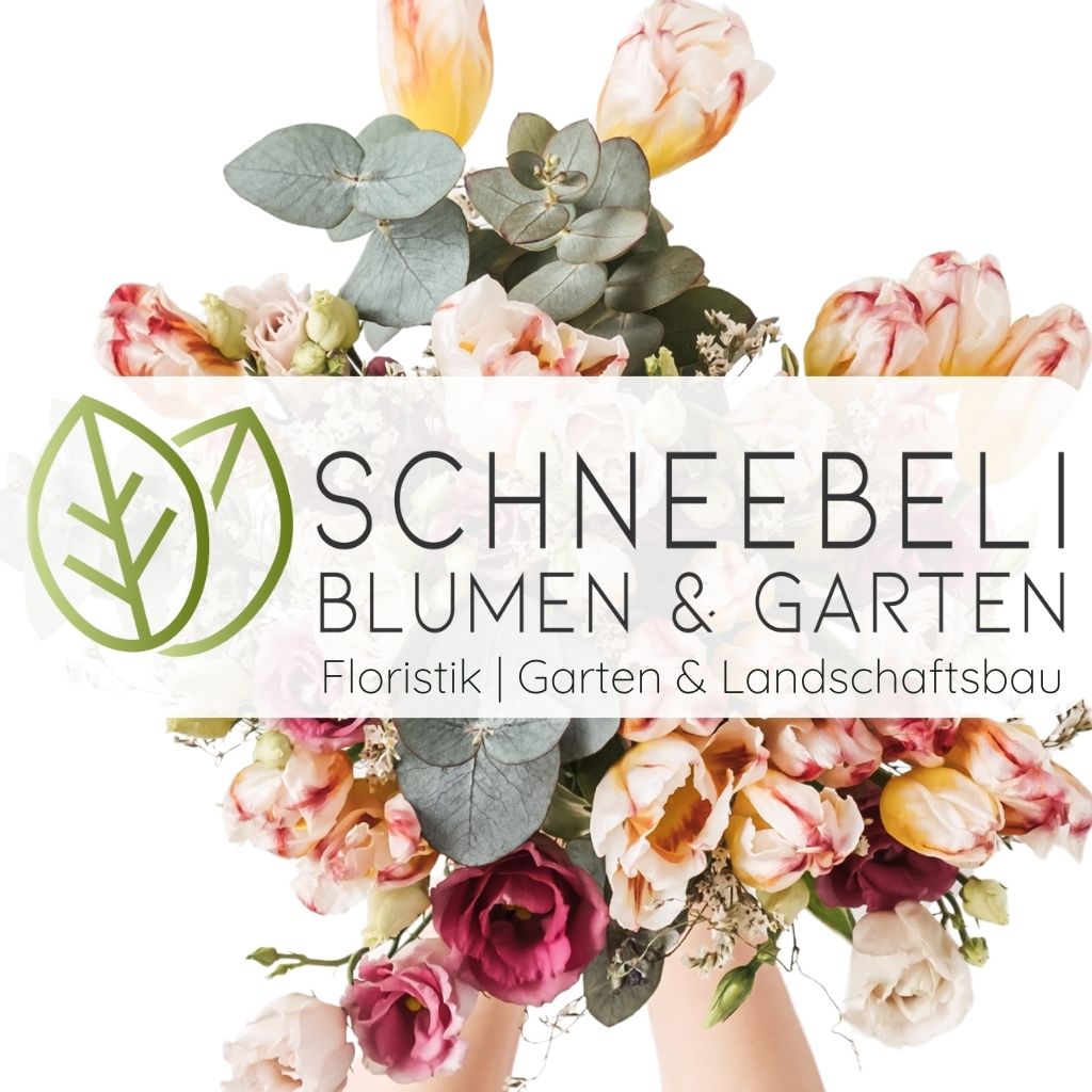 Schneebeli Blumen & Garten in Affoltern am Albis