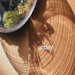 Octave - Coming Soon Photo