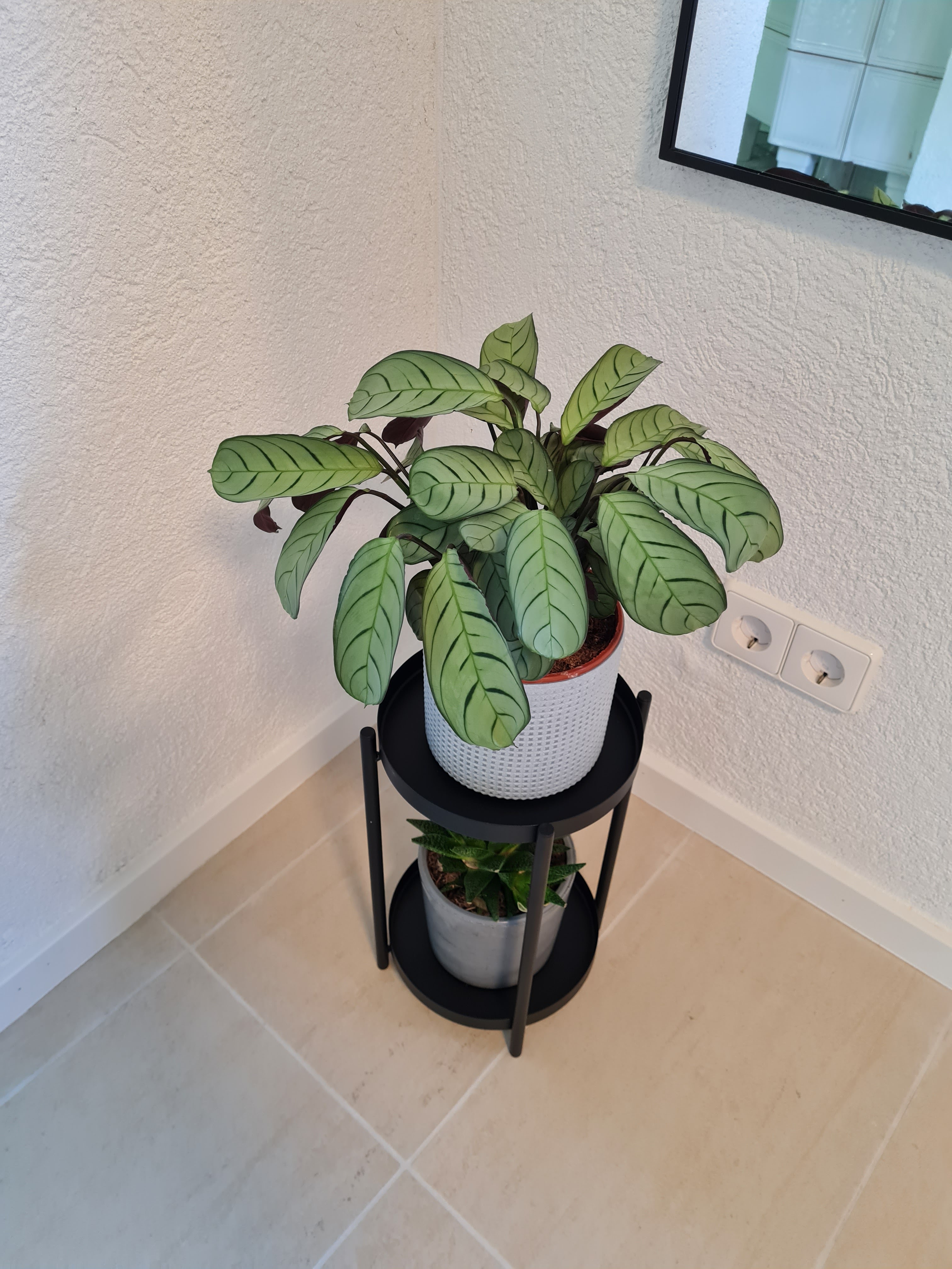 birds-nest Ferienwohnungen, Hauptstraße 17 in Darstein