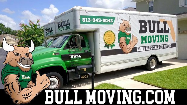 Images Bull Moving
