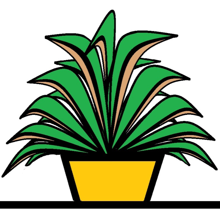 FlorAvenue jardinerie, végétaux et article de jardin (détail)