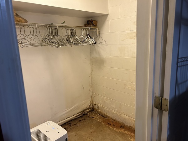 Images Ox Foundation Solutions