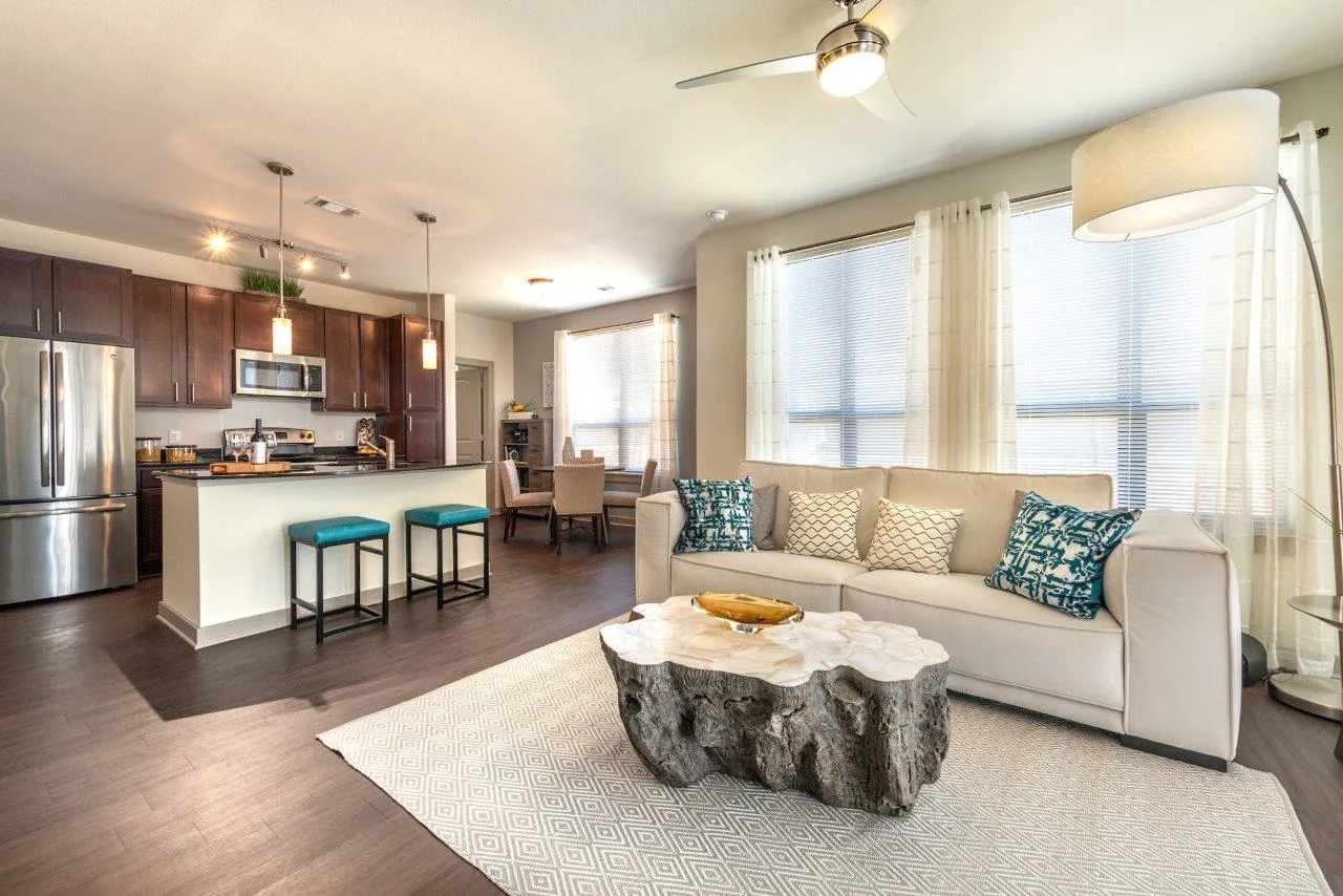 Kitchen and Living Room 