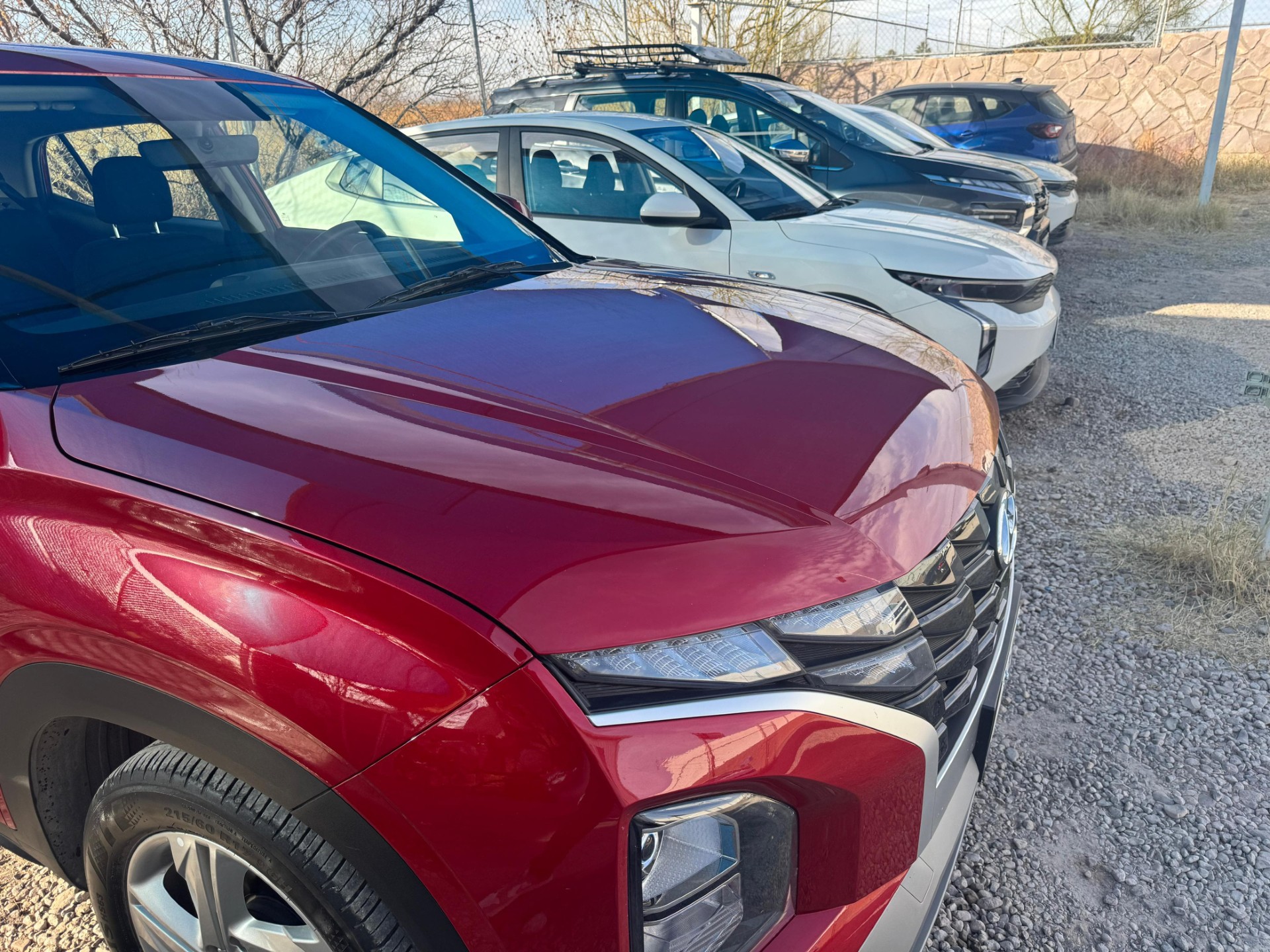 Galería en miniatura