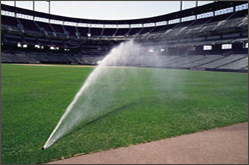 Images Northern Turf Management Inc
