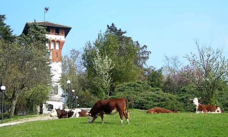 Images Lt Intrattenimento
