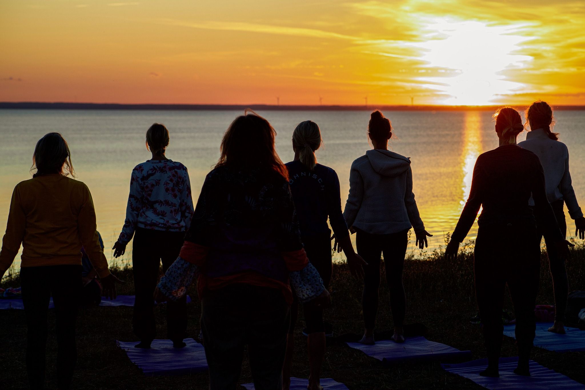 Images Kollberggården - B&B Ölands YogaStudio & Islandshästar