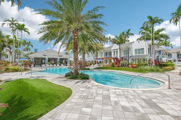 Images Ivory Lantana