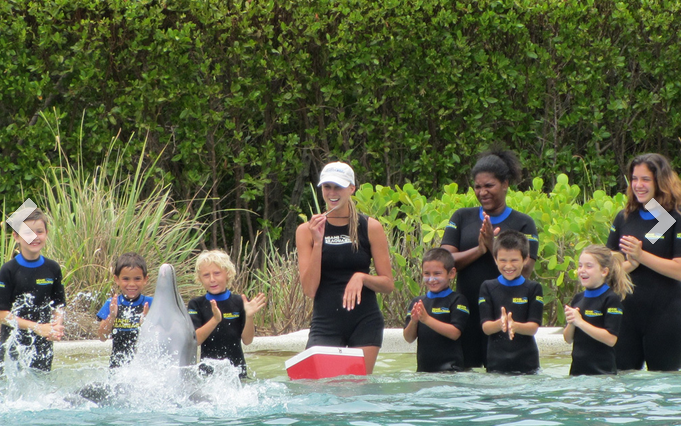 Images Camp Live Oak