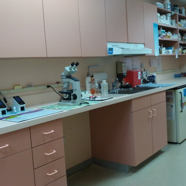 Images North Collier Animal Clinic