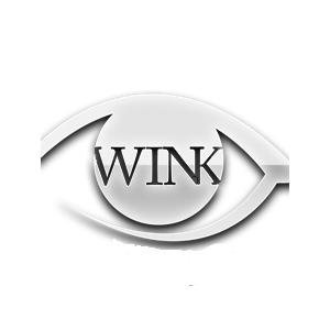 Wink Eye Doctors Logo