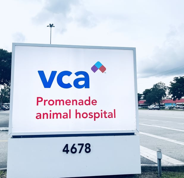 Images VCA Promenade Animal Hospital