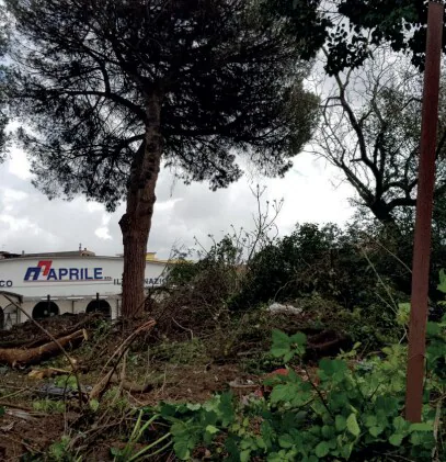 Images R & M Servizi Impresa di Pulizie