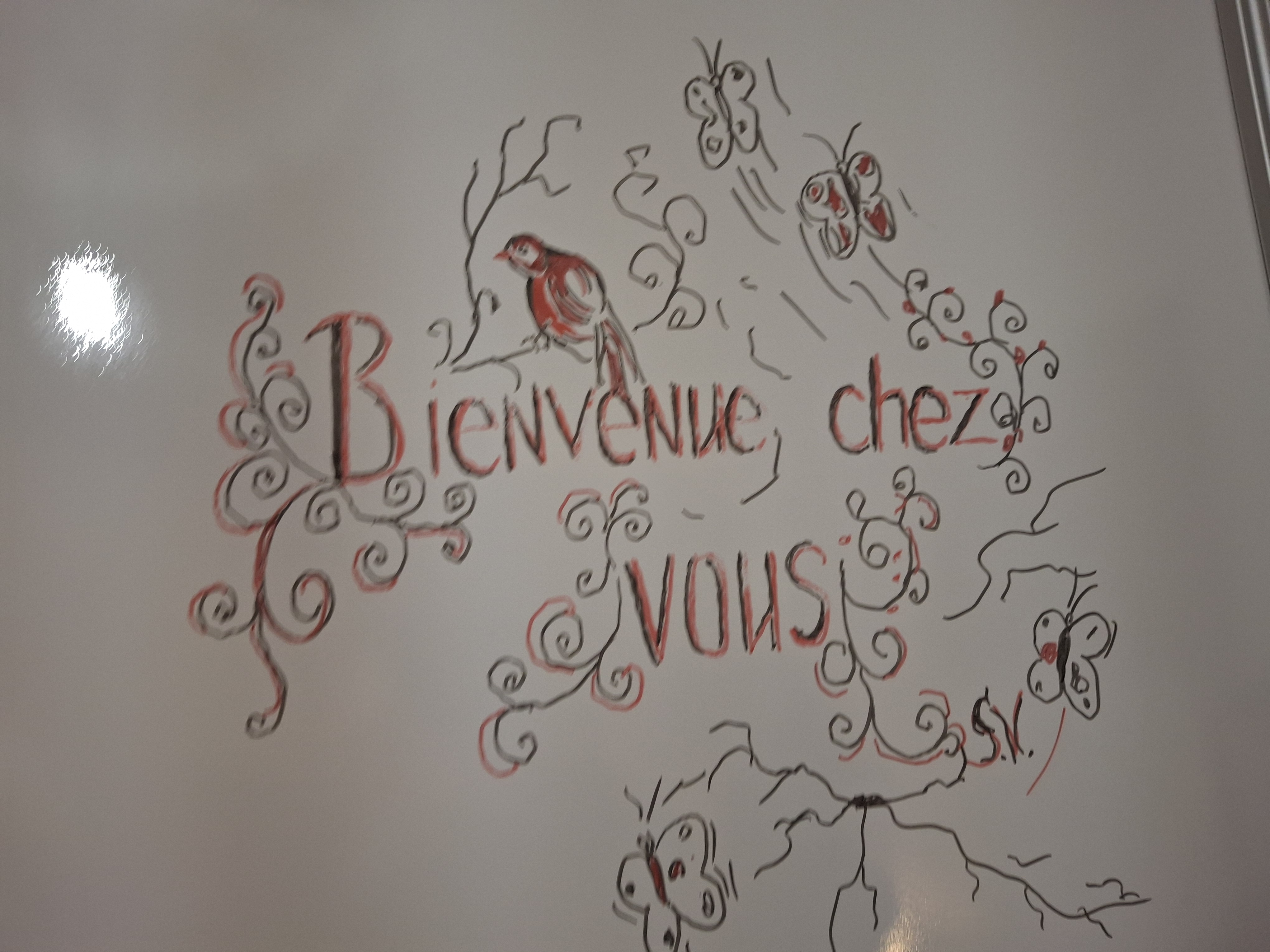 galerie image