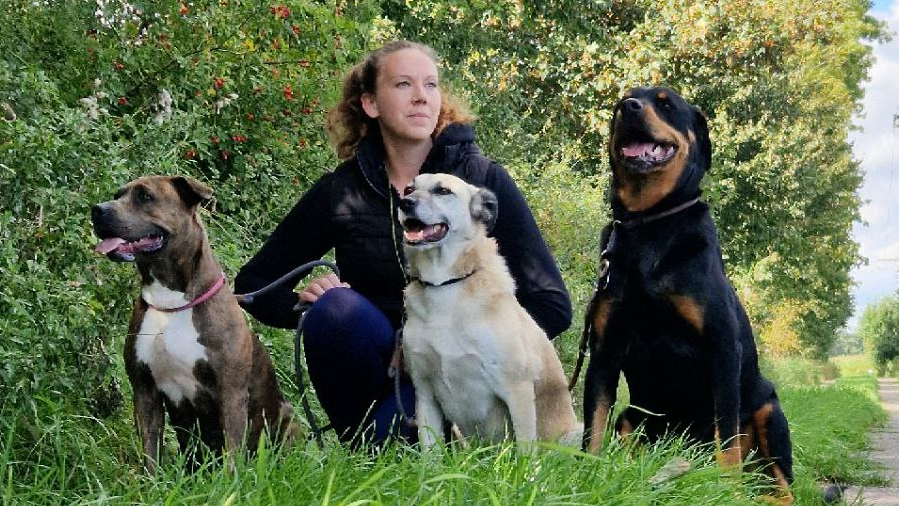 Pfoten Anker, Alt Pastitz 5 in Putbus
