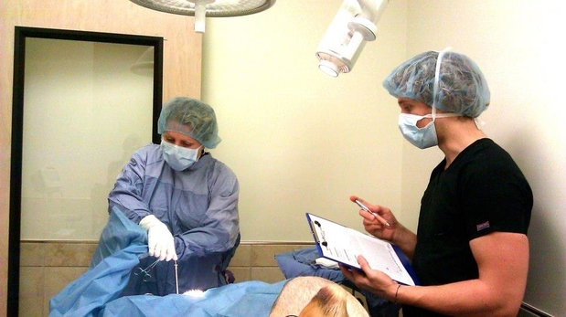 Images Animal Emergency Center