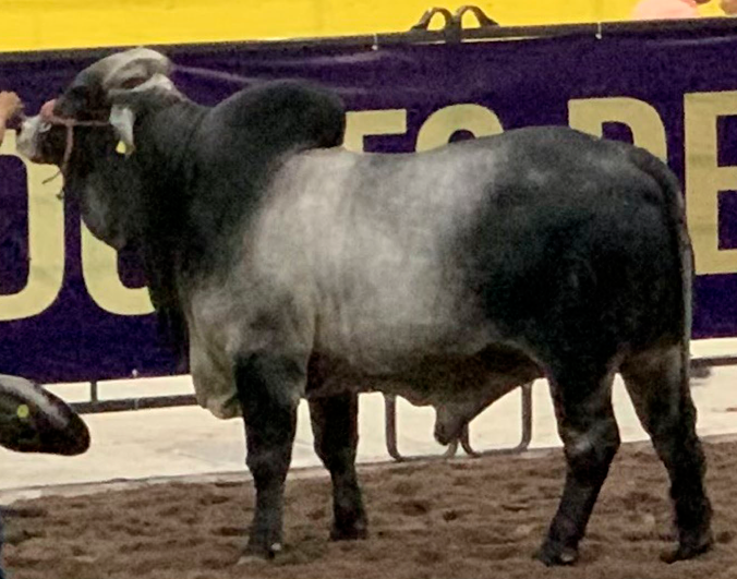 Images Rancho La Marina