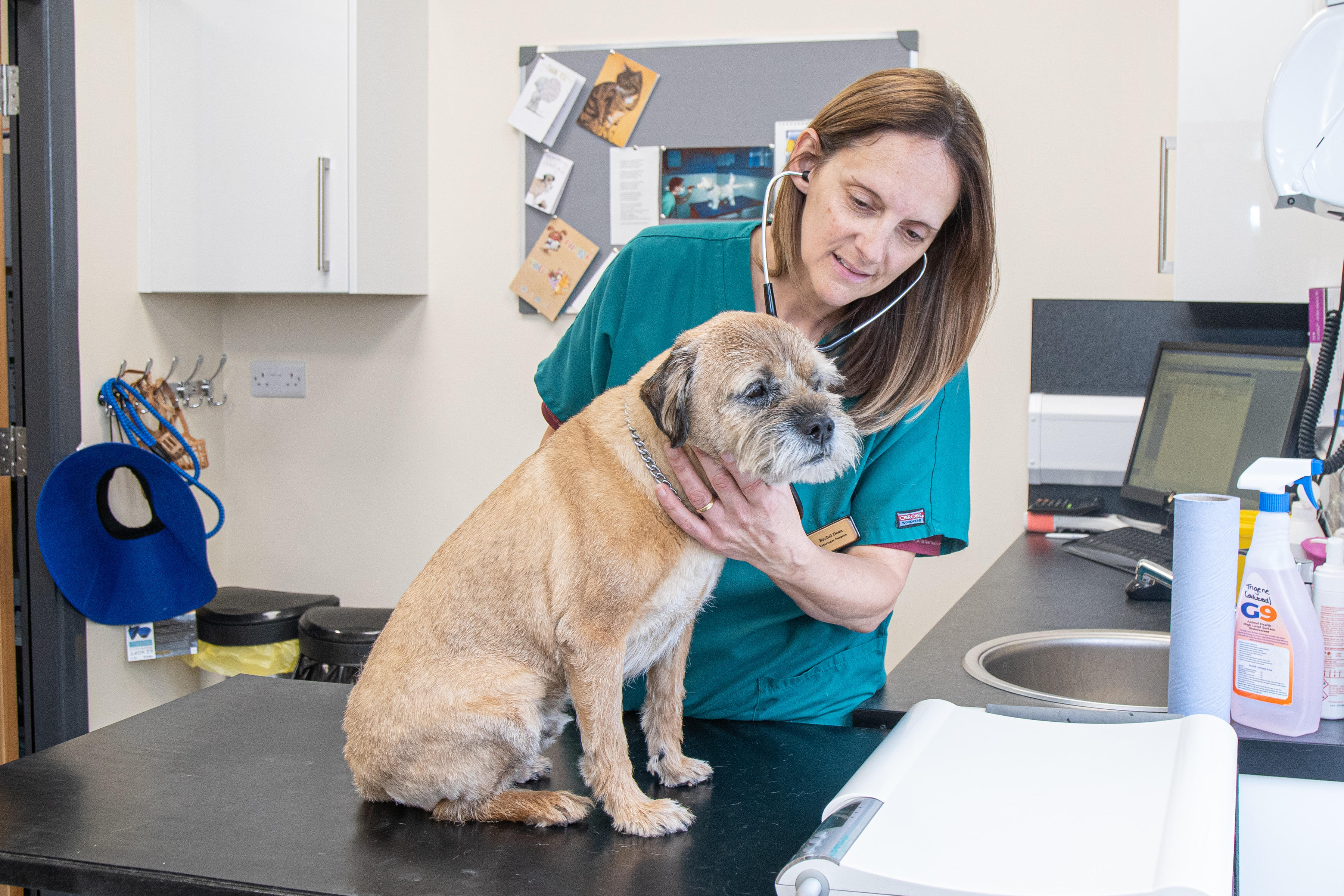 Charter Veterinary Surgeons, Talke Staffordshire 01782 771441