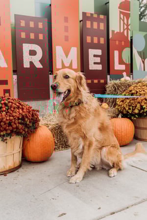 Images Drew Federau - State Farm Insurance Agent