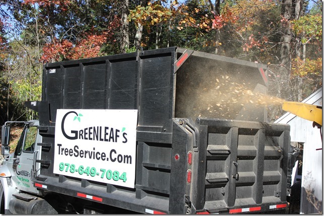 Greenleaf's Tree Service Photo