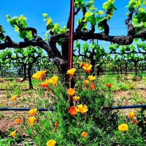 Images Michael Watz Photography