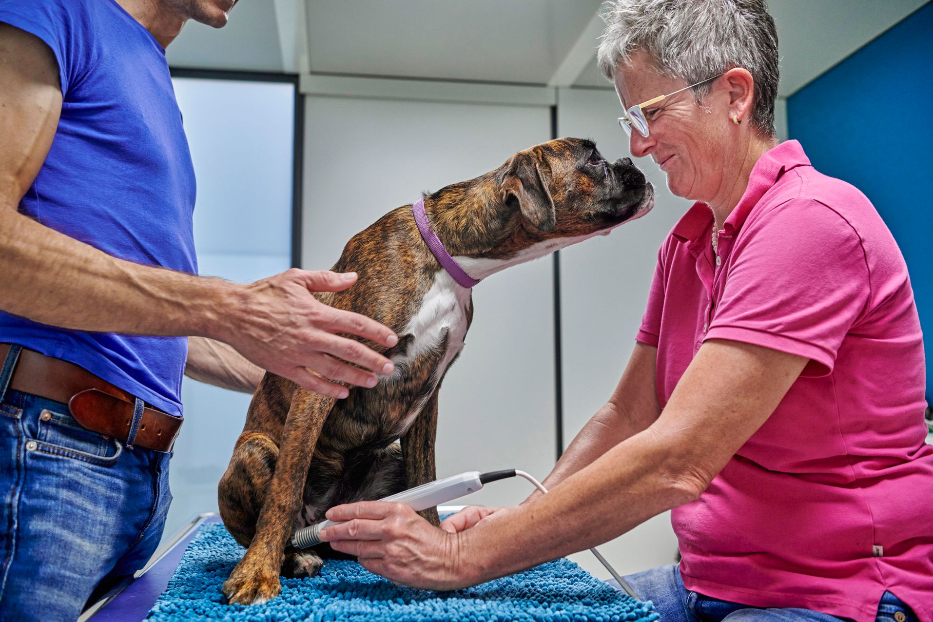 Bilder kompleTIER AG