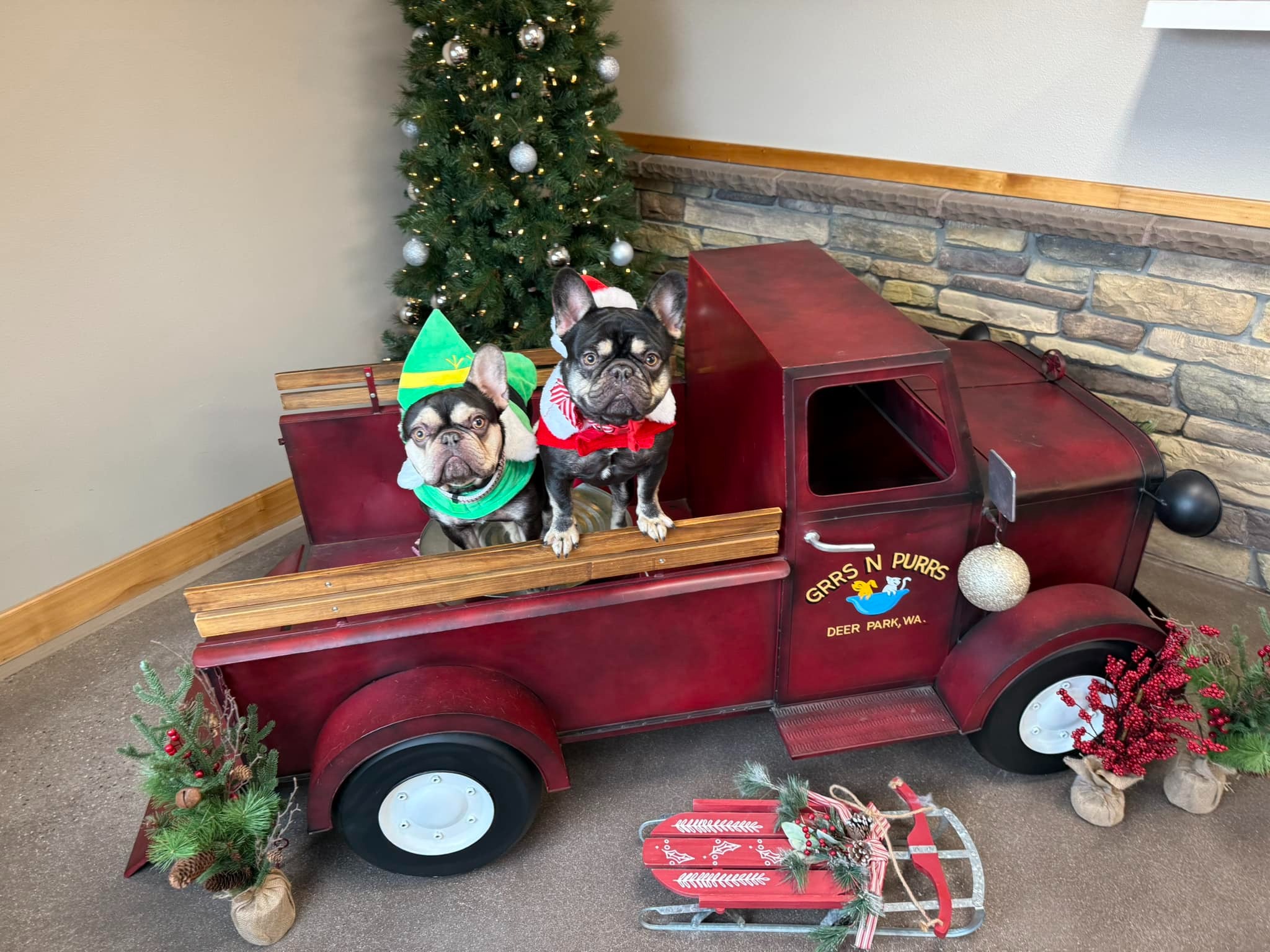 Thanks to our friends over at Grrs 'n' Purrs Grooming for always taking great care of Santa and his helper!