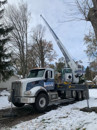 Images Spears Tree Experts Inc.