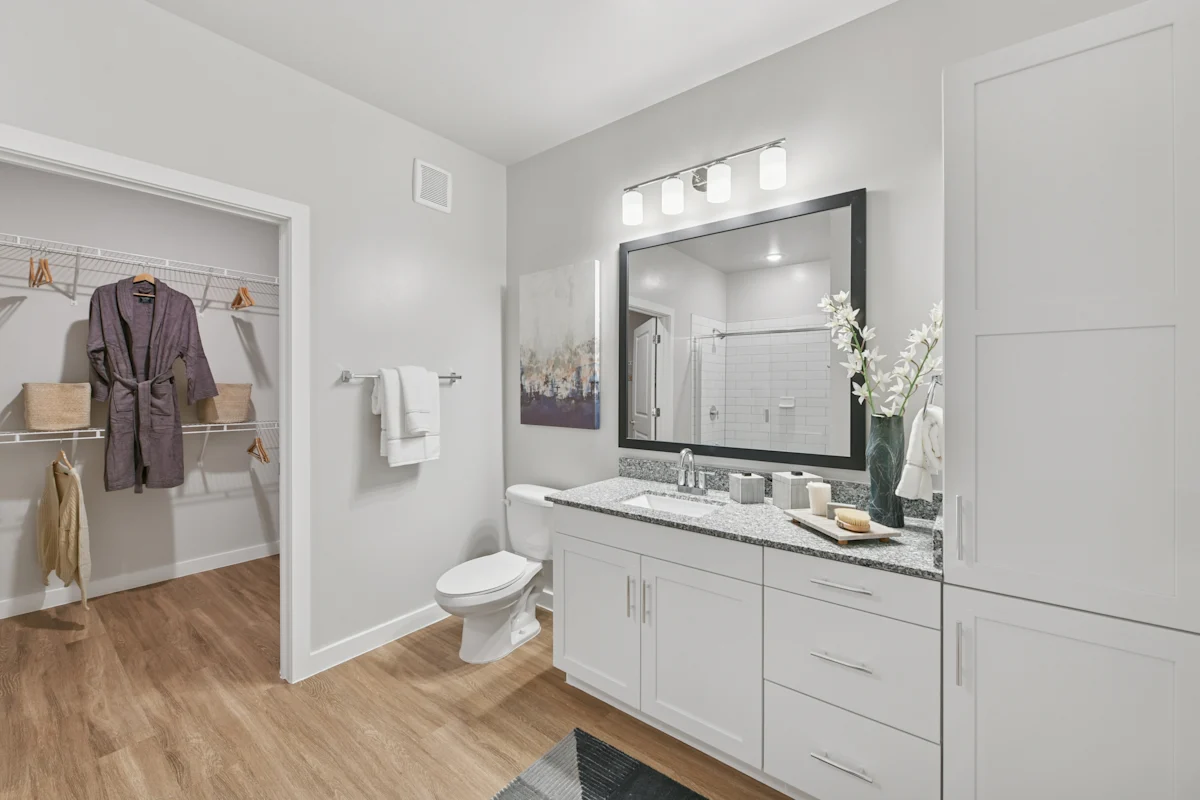 Bathroom with walk-in closet