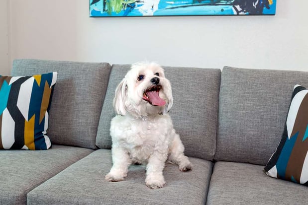 Images Hampton Inn & Suites Sarasota/Lakewood Ranch